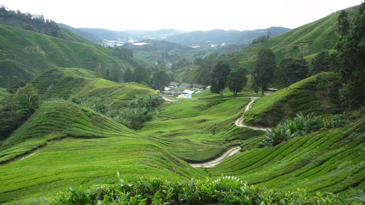 The Quintet Cameron Highlands By Tulip Tanah Rata Dış mekan fotoğraf